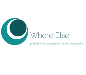 Bericht Where Else | Else Hoekstra bekijken