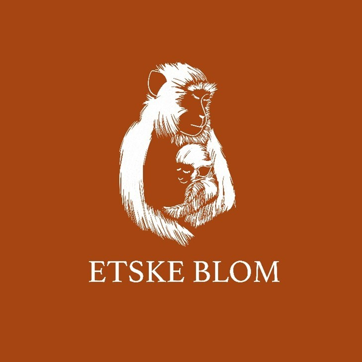 Bericht Etske Blom ‘Relaxed bevallen vanuit Regie’. bekijken
